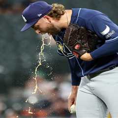 Rays hurler Jonathan Heasley throws up on field in first MLB appearance in two years
