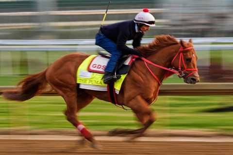 The Puma scratched from Kentucky Derby due to swelling in leg