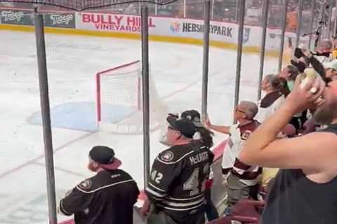 Minor league hockey fans throw debris on ice, refuse to leave arena after bizarre overtime goal