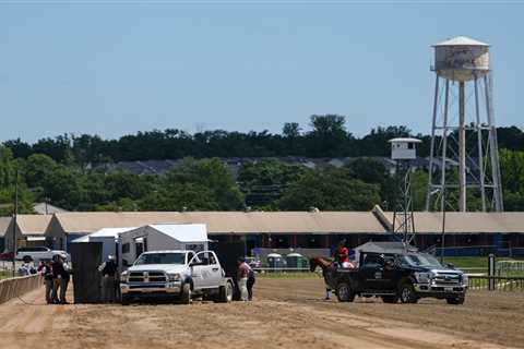 Horse dies after finish line collapse in horror start to Preakness weekend