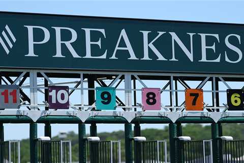 Preakness Stakes 2026: Picks and predictions from the experts