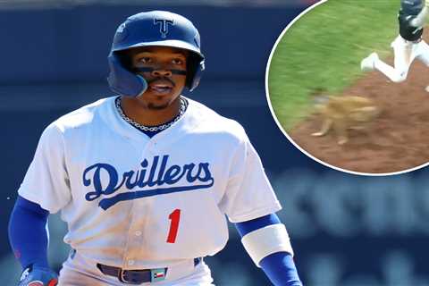 Tulsa Drillers, Dodgers minor-league team, suspending bat dog program after freak injury