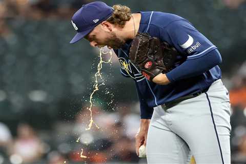 Rays hurler Jonathan Heasley throws up on field in first MLB appearance in two years
