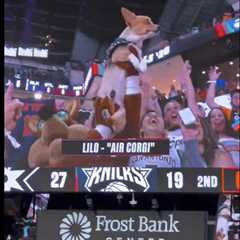 Air Corgi’s NBA Finals Game 1 appearance backfires on Spurs fans