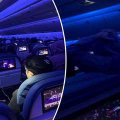 Excited Knicks fans turn Delta flight into raucous watch party, erupting over win at 30,000 feet