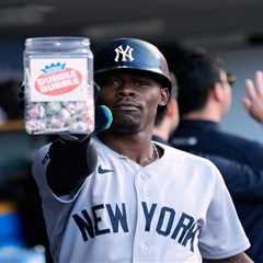 The stupidity in sports is reaching insulting levels once thought to be unthinkable
