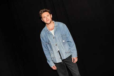 Niall Horan Praises BTS & Explains How the K-Pop Group Is ‘Different’ From One Direction