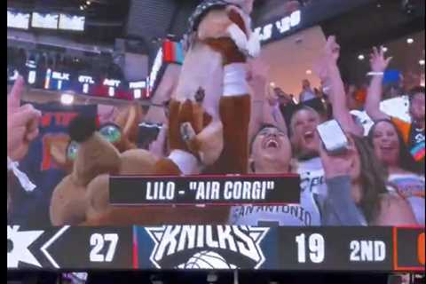 Air Corgi’s NBA Finals Game 1 appearance backfires on Spurs fans