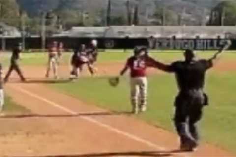 Benches-clearing brawl breaks out during Southern California HS baseball playoff game — it cost..