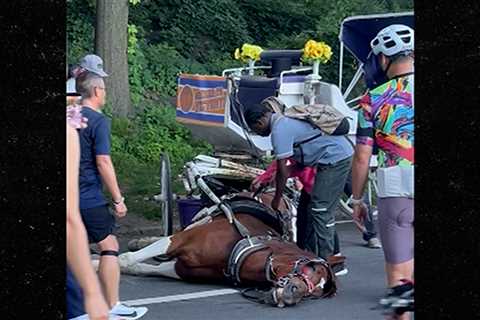 Central Park Visitors Horrified When Carriage Horse Suddenly Dies, On Video