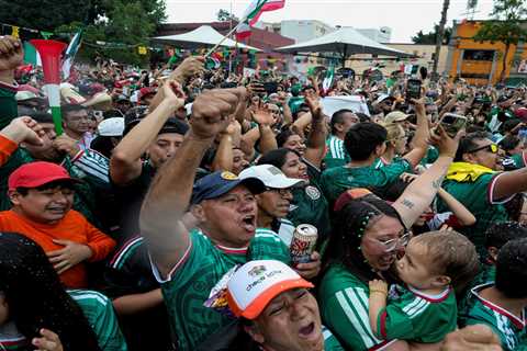 Viral duck spotted repping Mexico during 2026 World Cup