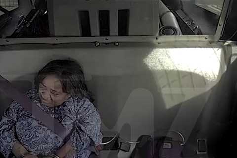 Ms. Juicy Arrest: Police Video Shows Her Crying While Handcuffed In Cop Car