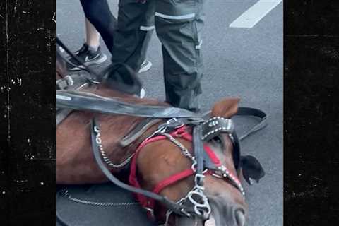 Central Park Carriage Horse's Cause Of Death Revealed