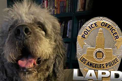 Family of Dog Killed by LAPD Slams 'Reckless' Officer After Bodycam Footage Released