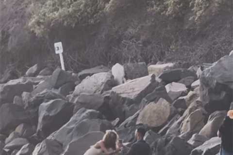 Patriots coach gets engaged to NBC Sports host Kayla Burton in stunning beach scene