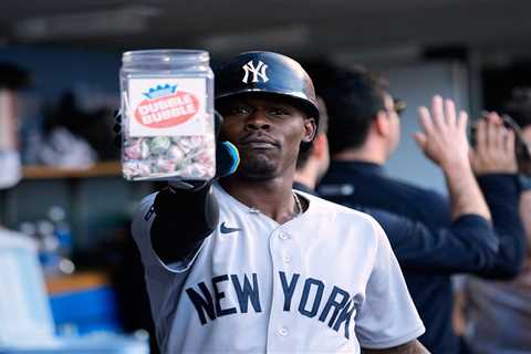 The stupidity in sports is reaching insulting levels once thought to be unthinkable