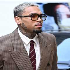 Chris Brown Hit With $13 Million Verdict in Housekeeper Dog Attack Trial