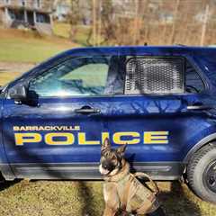 West Virginia Town Fires Entire Police Force After Evidence Room Allegedly Broken Into
