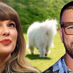Taylor Swift and Travis Kelce's Rumored Dog May Have Been Spotted On Her Private Jet