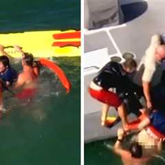 Felony Suspect Arrested After Swimming Away from LAPD During Pursuit