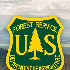 U.S. Forest Service Employees Held Hostage at Gunpoint for 15  Hours
