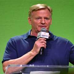Roger Goodell is doing nothing to solve NFL’s see-no-evil problem — maybe it’s time to cash in
