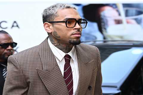 Chris Brown Hit With $13 Million Verdict in Housekeeper Dog Attack Trial
