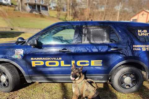 West Virginia Town Fires Entire Police Force After Evidence Room Allegedly Broken Into