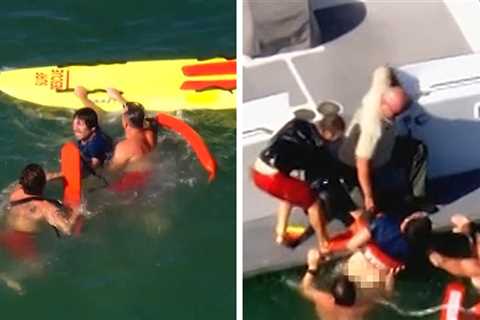 Felony Suspect Arrested After Swimming Away from LAPD During Pursuit