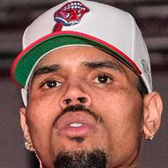 Chris Brown Wants Verdict Tossed, New Trial for Dog Bite Lawsuit
