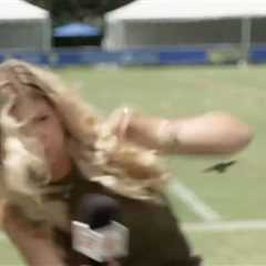 ESPN reporter fights for her life in battle with rogue beetle at LA Rams camp