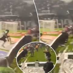 Brazilian soccer player leaves game after leaping over barricade into tunnel celebrating goal that..