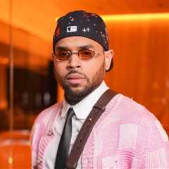 Chris Brown Contests $13M Dog Attack Verdict Over ‘Inflammatory’ Rihanna Assault Mention