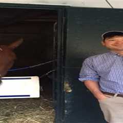 Professor faces lifetime horse racing ban for allegedly using unauthorized data in shocking betting ..