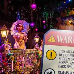 Disneyland Warns Not To Stand Up During Log Ride, Violators Will Be Kicked Out