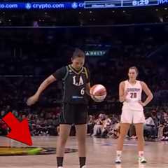 Sex Toy Thrown On Court At WNBA Game (Again), Alleged Thrower Caught