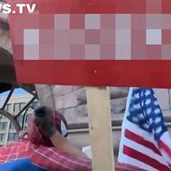 Person Dressed as Spider-Man Punches Jake Lang During Minneapolis Rally