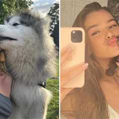 Sloppy Dog Kisses For National Dog Day ... Woof!