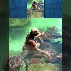 This turtle is known for being in swamps and bachelorette parties.