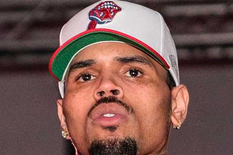 Chris Brown Wants Verdict Tossed, New Trial for Dog Bite Lawsuit