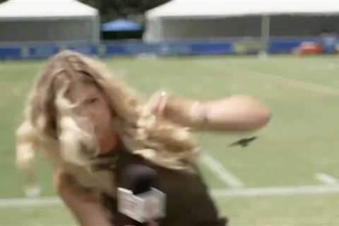 ESPN reporter fights for her life in battle with rogue beetle at LA Rams camp