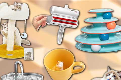 International Cat Day Gift Guide