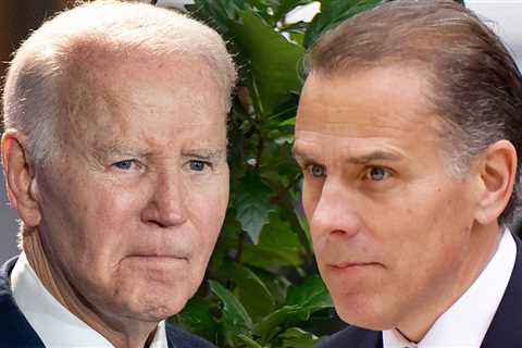 Joe Biden's Cancer Has Spread Further and Is 'Very Painful,' Son Hunter Says
