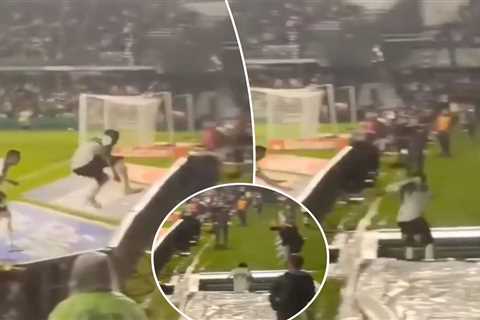 Brazilian soccer player leaves game after leaping over barricade into tunnel celebrating goal that..