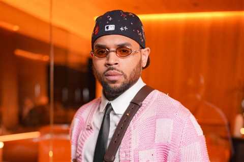 Chris Brown Contests $13M Dog Attack Verdict Over ‘Inflammatory’ Rihanna Assault Mention