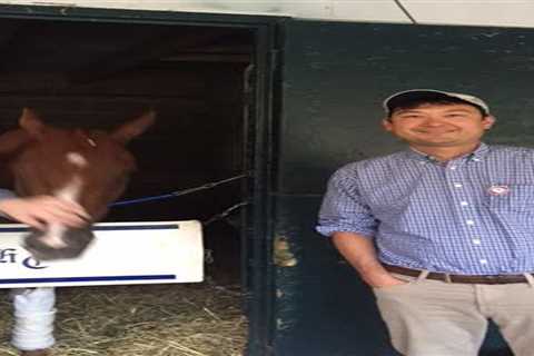 Professor faces lifetime horse racing ban for allegedly using unauthorized data in shocking betting ..