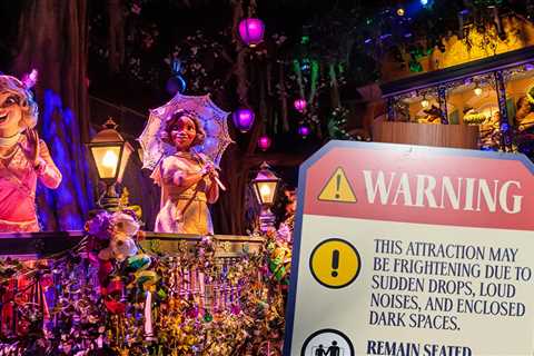 Disneyland Warns Not To Stand Up During Log Ride, Violators Will Be Kicked Out