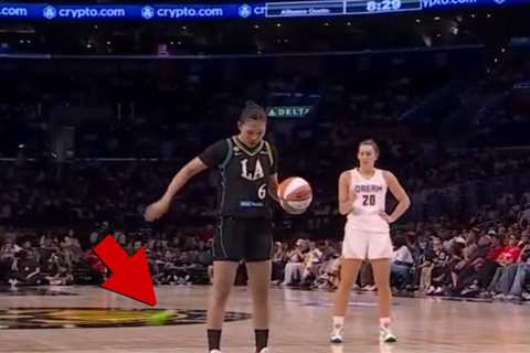 Sex Toy Thrown On Court At WNBA Game (Again), Alleged Thrower Caught