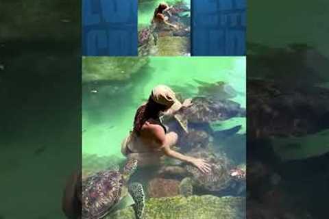 This turtle is known for being in swamps and bachelorette parties.
