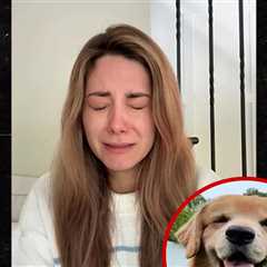 Beloved Dog Influencer Tucker Budzyn Dies After Cancer Diagnosis